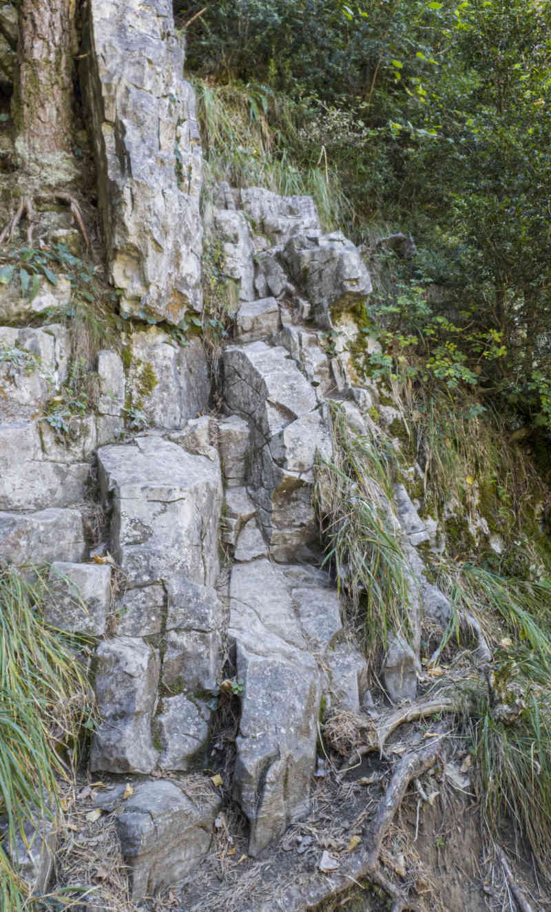 Huesca - parque nacional de Ordesa y Monte Perdido - valle de Escuaín 15 - garganta de Escuaín - sendero.jpg